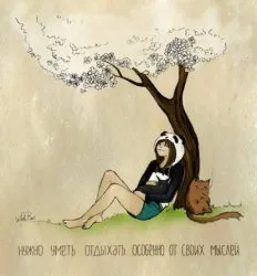 Panda и снежен леопард котка