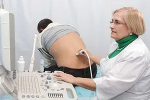 Vertebrology го