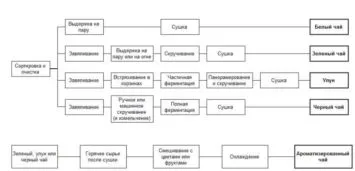 Как да отворите чай
