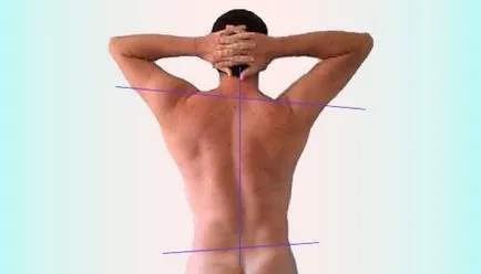 Vertebrology го