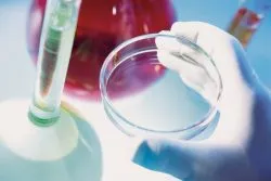 HPV при мъжете