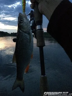 Какво е нагоре