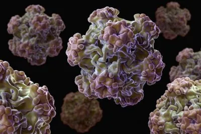 HPV при мъжете