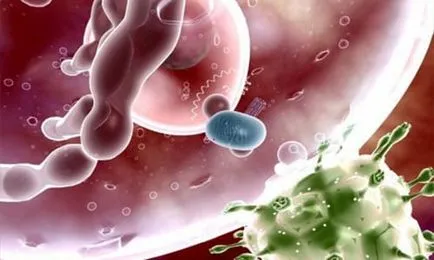 HPV при мъжете