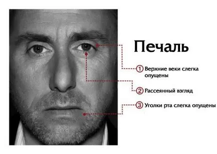 Какво е възторг