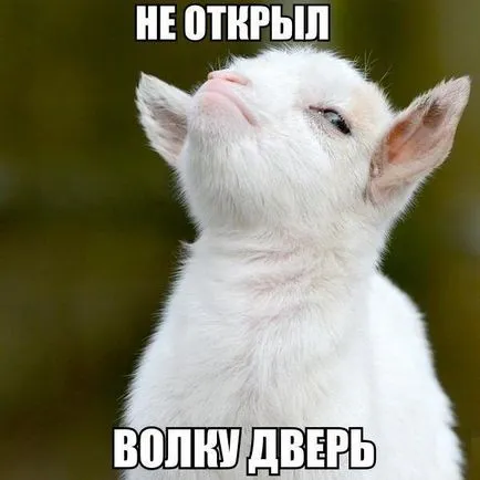 Goat решение вълк зеле