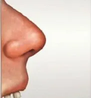 Нос, че човек може да