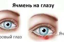 Как кочината