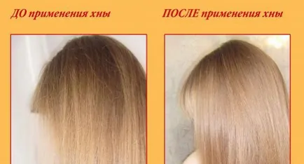 Как да кандидатствате безцветна къна