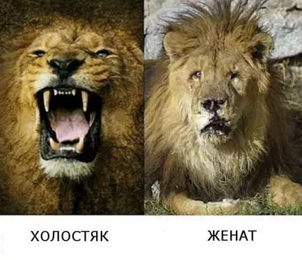 Как завиждам му