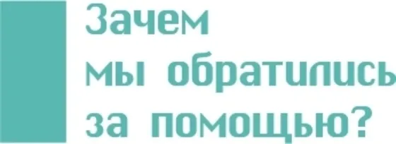 Panda и снежен леопард котка