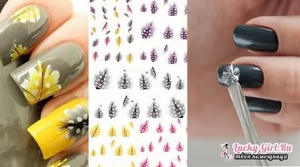 Hogyan ragasztó köröm matrica a folyamat leírása és ajánlások (ajánlások) Hogyan ragasztó köröm matrica folyamatának leírását és ajánlások