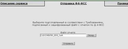 4-FSS указания за изпращане чрез интернет