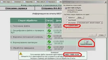 4-FSS указания за изпращане чрез интернет