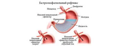 Almagel инструкции и указания за употреба