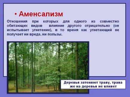Amensalizm какво е ЖП може да даде примери amensalizma, заповеди не са обсъдени