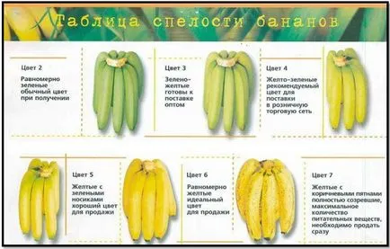 Бананите от културизма