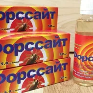Бълхи в апартамента къде и как да се отървете от собствената си