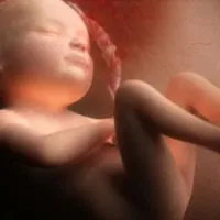 Biparietal размер на плода главата на 32 седмици, 32 седмици от бременността (бременност) Biparietal размер на плода глава в 32-та седмица, 32 седмици на бременността