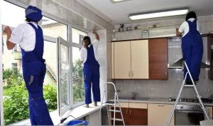 Бълхи в къщи, като се отървете от тях и какви видове паразити съществуват