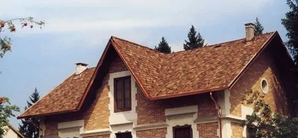 Херпес зостер видове, предимства и недостатъци