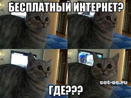 Безплатен интернет за безплатно - как да се има възможно, как да се създаде (интернет) Безплатен интернет за безплатно - как да стигнем до там, че е възможно, как да се създаде