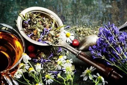 Чай с градински чай полза и вреда, как да се пие (рецепта)