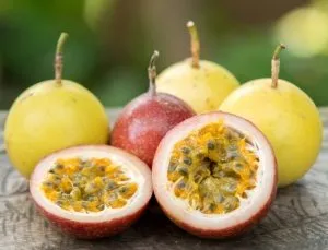 Плодовете страст е полезно и как да се лекува