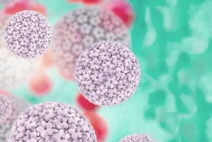 Than за лечение на човешки папилома вирус при жените, като лечение на HPV (папилома) Than за лечение на човешки папилома вирус при жените, като лечение на HPV