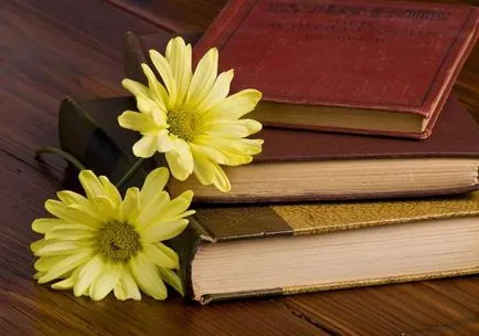 Какво прави мечтата книгата миглите какво мечтае тълкуване на сънища (тълкуване на сън миглите какво мечтае мигли боядисани в съня на окото) Какво прави мечтата книгата миглите какво мечтае тълкуване на сънища