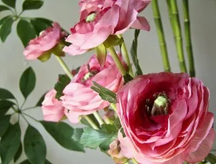 Което означава, че се е увеличила в езика на цветята