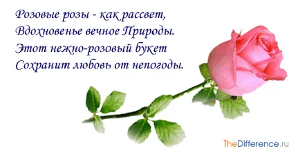 Какви са розови рози