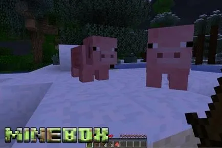 Hogyan kezdjük el maynkraft előnyöket a túlélésre Minecraft, minebox
