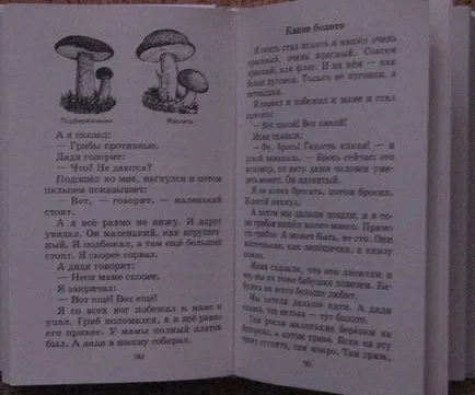 Видях Zhitkov Борис Степанович