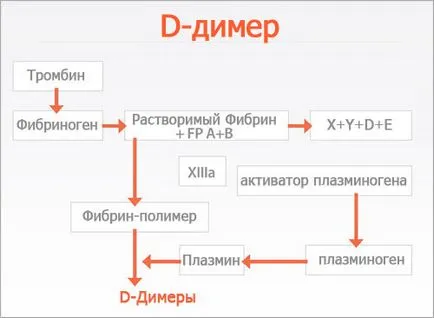 TSIR - г-димер (D-димер)