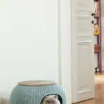 Къща котка (избор на снимка и възможности за неговото производство)