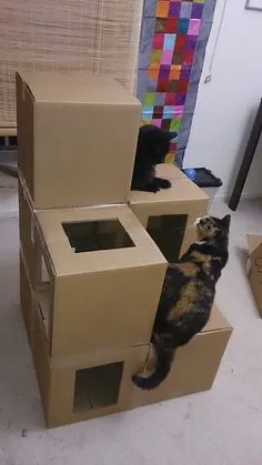 Малка къща за котка с ръцете си стъпка по стъпка ръководство