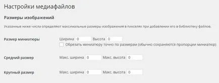 Дълги ботуши топ WordPress сайт