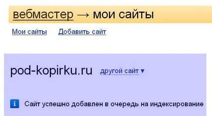 Добави сайт в Yandex уебмастър, стъпка по стъпка ръководство в интернет, с примери за начинаещи
