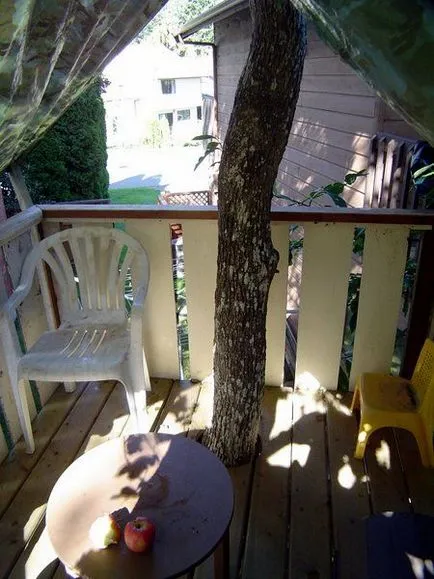 Treehouse снимка със собствените си ръце, диаграма, видео инструкция