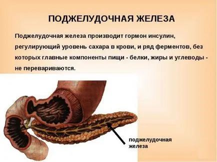 Панкреатична функция в човешкото тяло, панкреатит