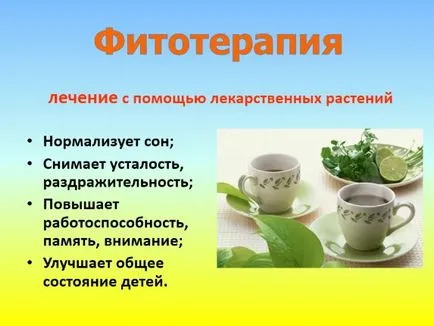 Билкови лекарства - билкови лекарства, лечебни растения