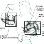 Когато портата
