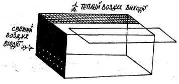 Къде да се запази и какво да се хранят жабите