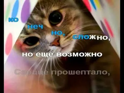 Глюкоза котка - котка глюкоза слушате изтегляне