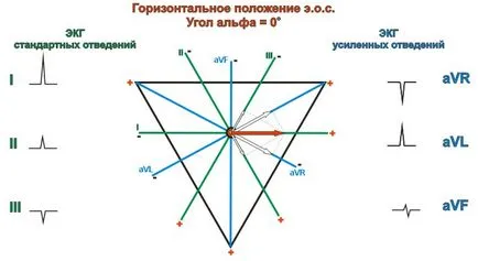Хоризонталното положение на сърцето електрическа ос, хоризонтални знаци д