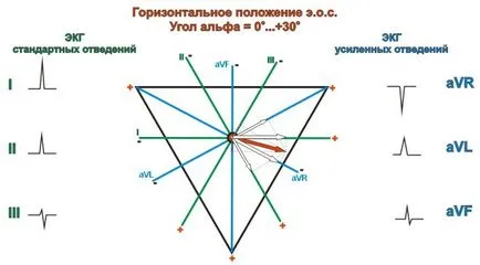 Хоризонталното положение на сърцето електрическа ос, хоризонтални знаци д