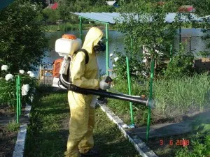 Как да се отървем от бълхи в частен дом съвети, мнения