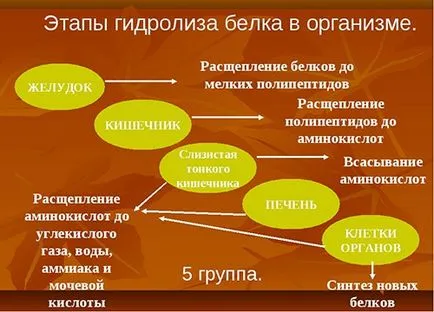 Как да се изгради вътрешната гръден мускул на баровете - милиона