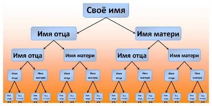 Как да се направи родословно дърво - диаграма рисунка родословие, дизайн оформление в незапълнени